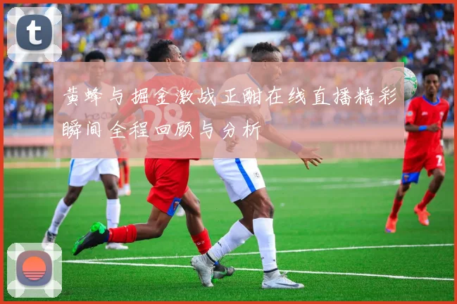 黄蜂与掘金激战正酣在线直播精彩瞬间全程回顾与分析