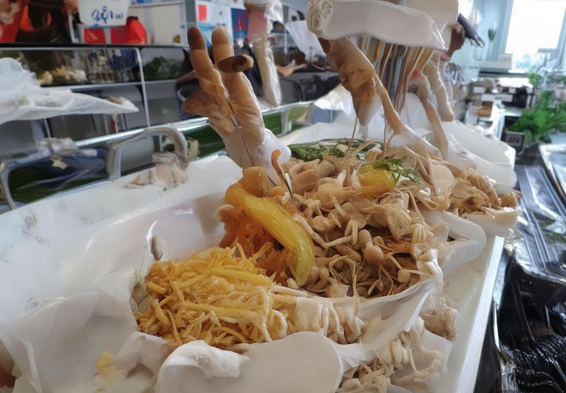 意甲焦点对决：弗洛西诺VS尤文图斯深度剖析(图2)