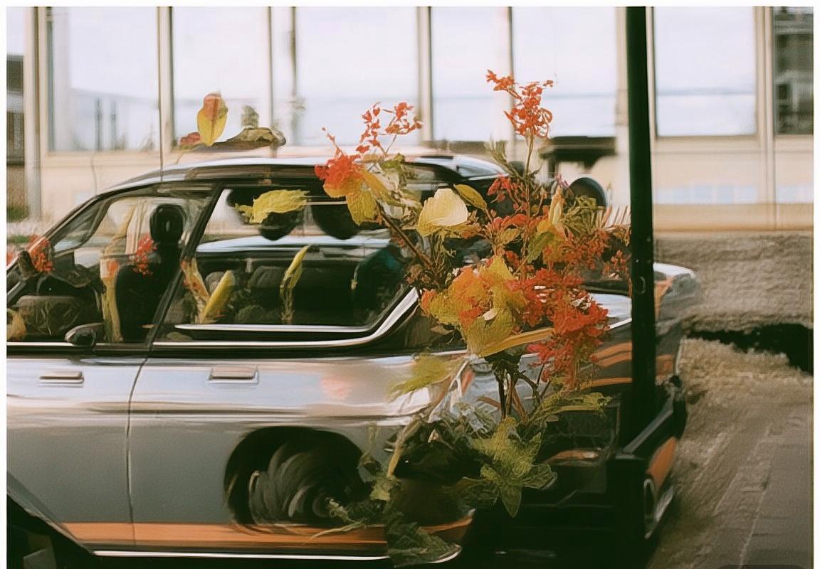 哥伦比亚VS智利：南美足球对决的文化魅力与竞技精神(图3)