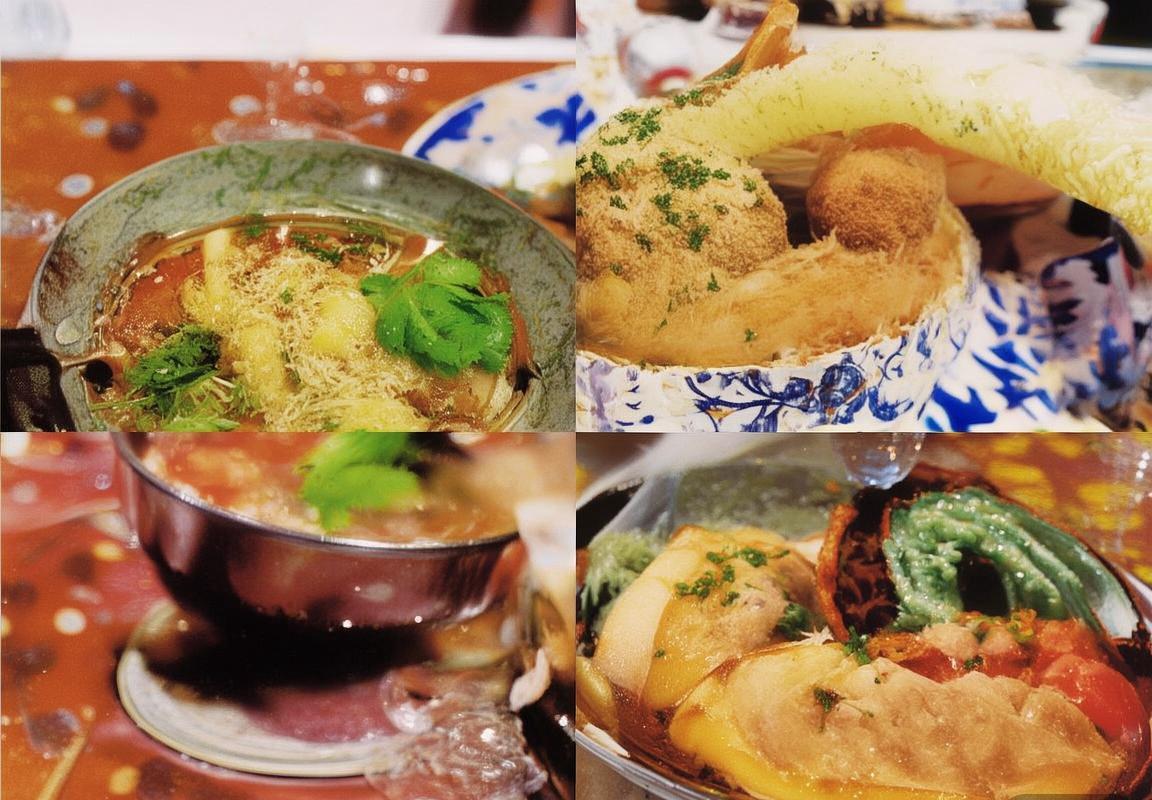 高诗岩篮球生涯：从新星到巅峰的奋斗之路